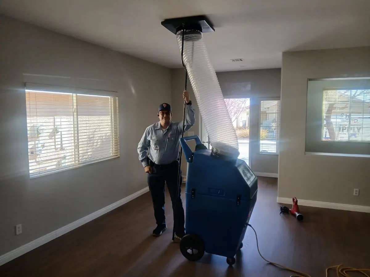 Professional Dryer Vent Cleaning work inside a Plum home